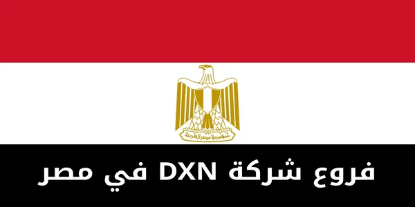 فروع شركة DXN في مصر