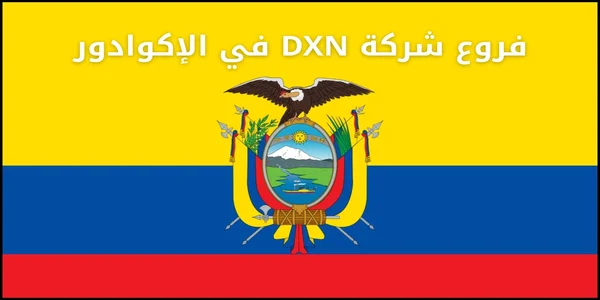 فروع شركة DXN في الإكوادور